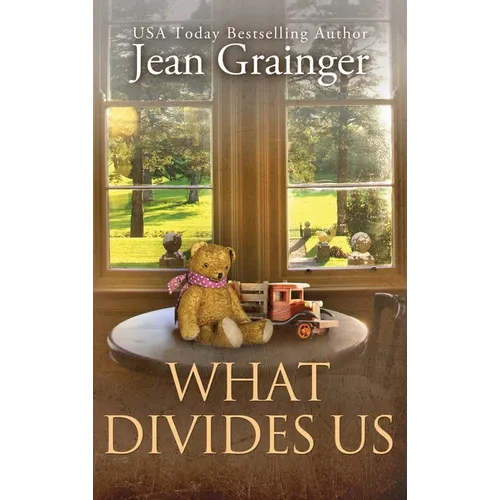 What Divides Us: The Kilteegan Bridge Story - Book 2 - Hardcover