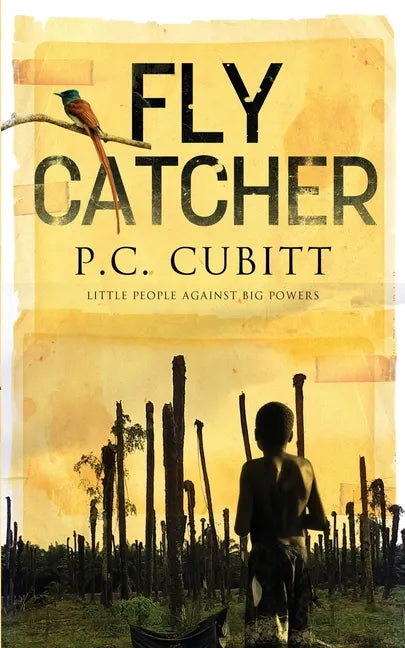 Fly Catcher: Longlisted for the Bridport First Novel Prize - Paperback