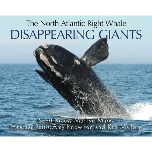 The North Atlantic Right Whale: Disappearing Giants - Paperback