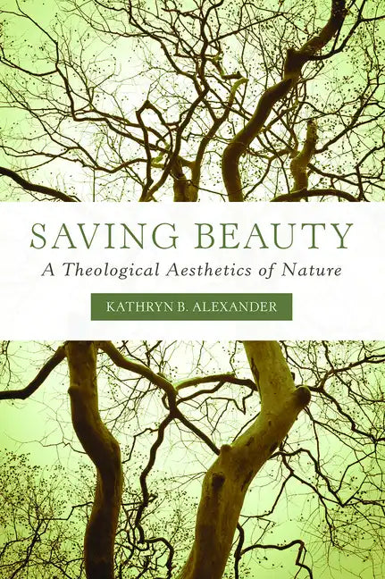 Saving Beauty: A Theological Aesthetics of Nature - Paperback