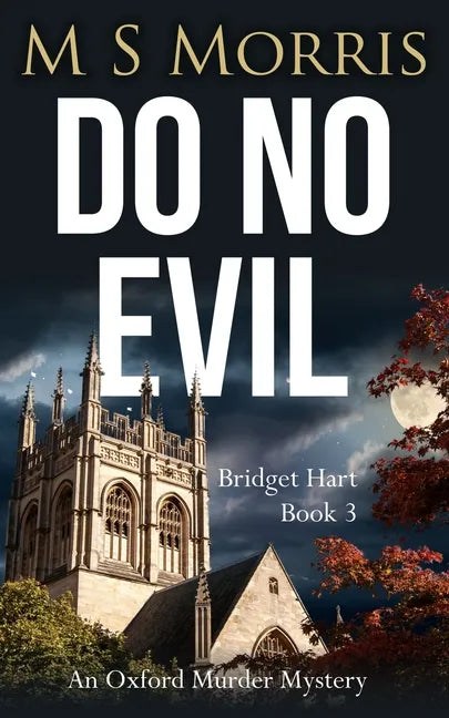 Do No Evil: An Oxford Murder Mystery - Paperback