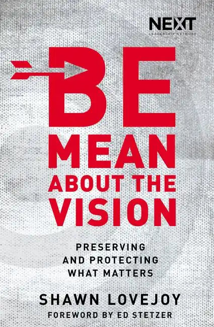 Be Mean about the Vision: Preserving and Protecting What Matters - Paperback