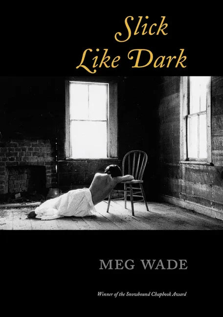 Slick Like Dark - Paperback