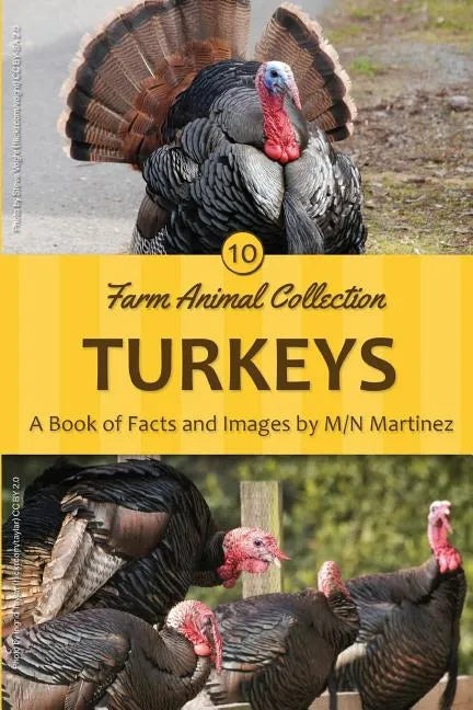 Turkeys - Paperback