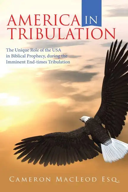 America in Tribulation: The Unique Role of the Usa in Biblical Prophecy, During the Imminent End-Times Tribulation - Paperback