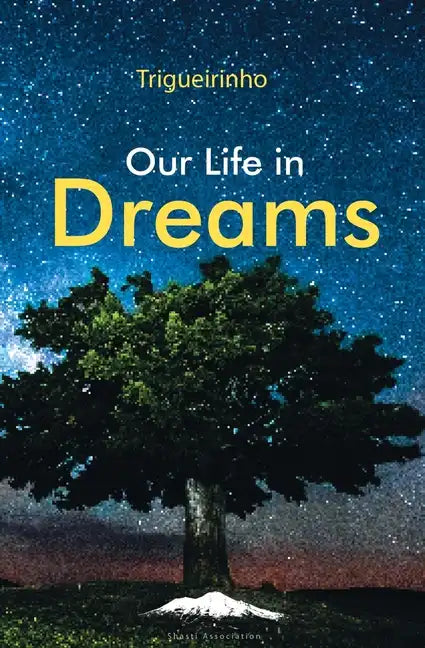 Our Life in Dreams - Paperback