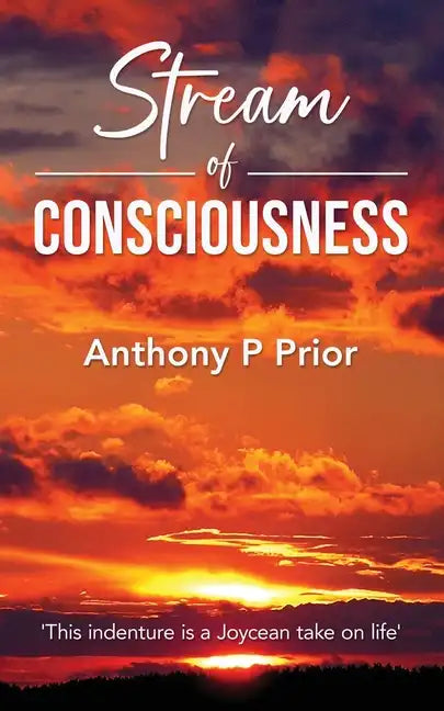 Stream of Consciousness - Paperback