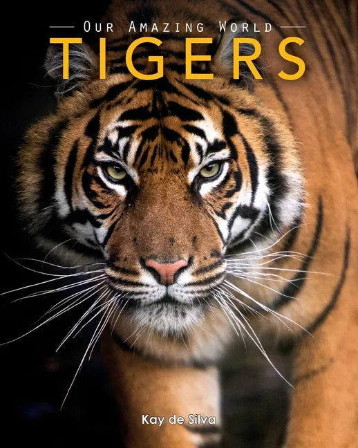 Tigers: Amazing Pictures & Fun Facts on Animals in Nature - Paperback
