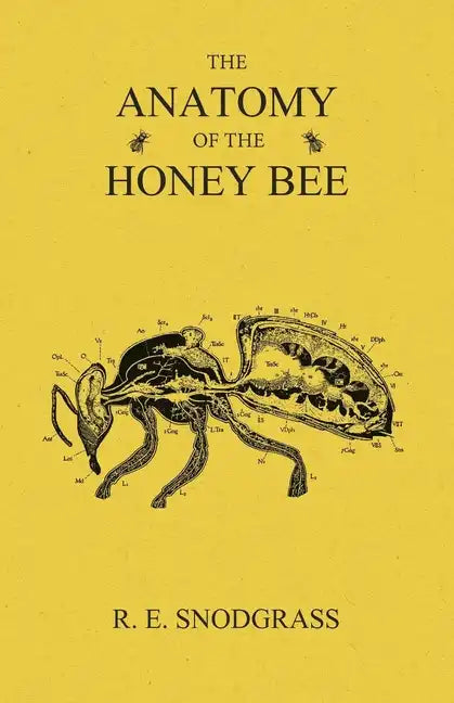 The Anatomy of the Honey Bee - Paperback