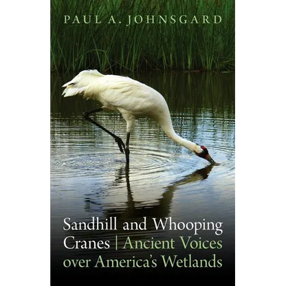 Sandhill and Whooping Cranes: Ancient Voices Over America's Wetlands - Paperback