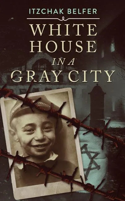 White House in a Gray City - Paperback