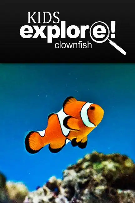 Clown Fish - Kids Explore: Animal books nonfiction - books ages 5-6 - Paperback
