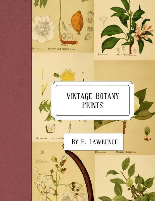 Vintage Botany Prints - Paperback