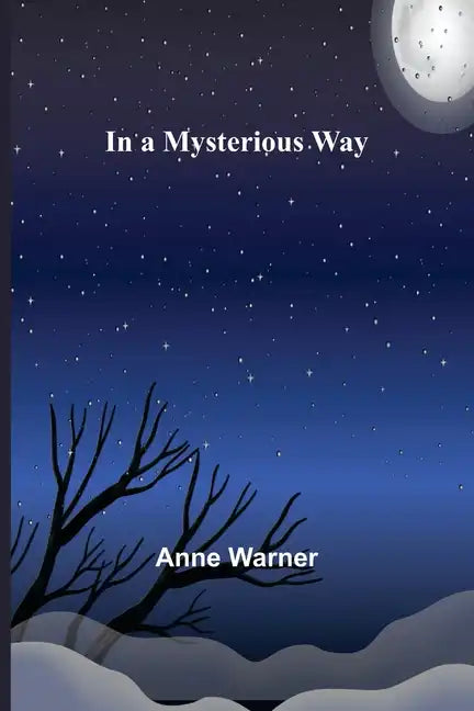 In a Mysterious Way - Paperback