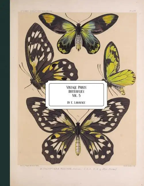 Vintage Prints: Butterflies: Vol. 5 - Paperback