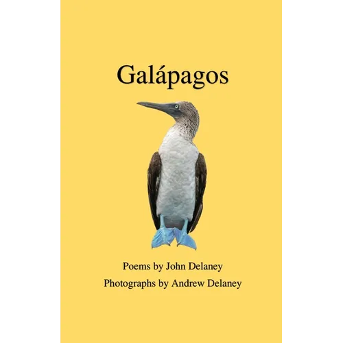 Gal疳agos: Poems by John Delaney, Photographs by Andrew Delaney - Paperback