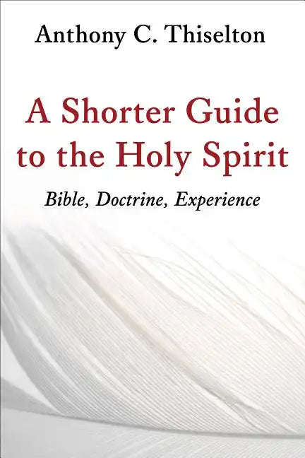 A Shorter Guide to the Holy Spirit: Bible, Doctrine, Experience - Paperback