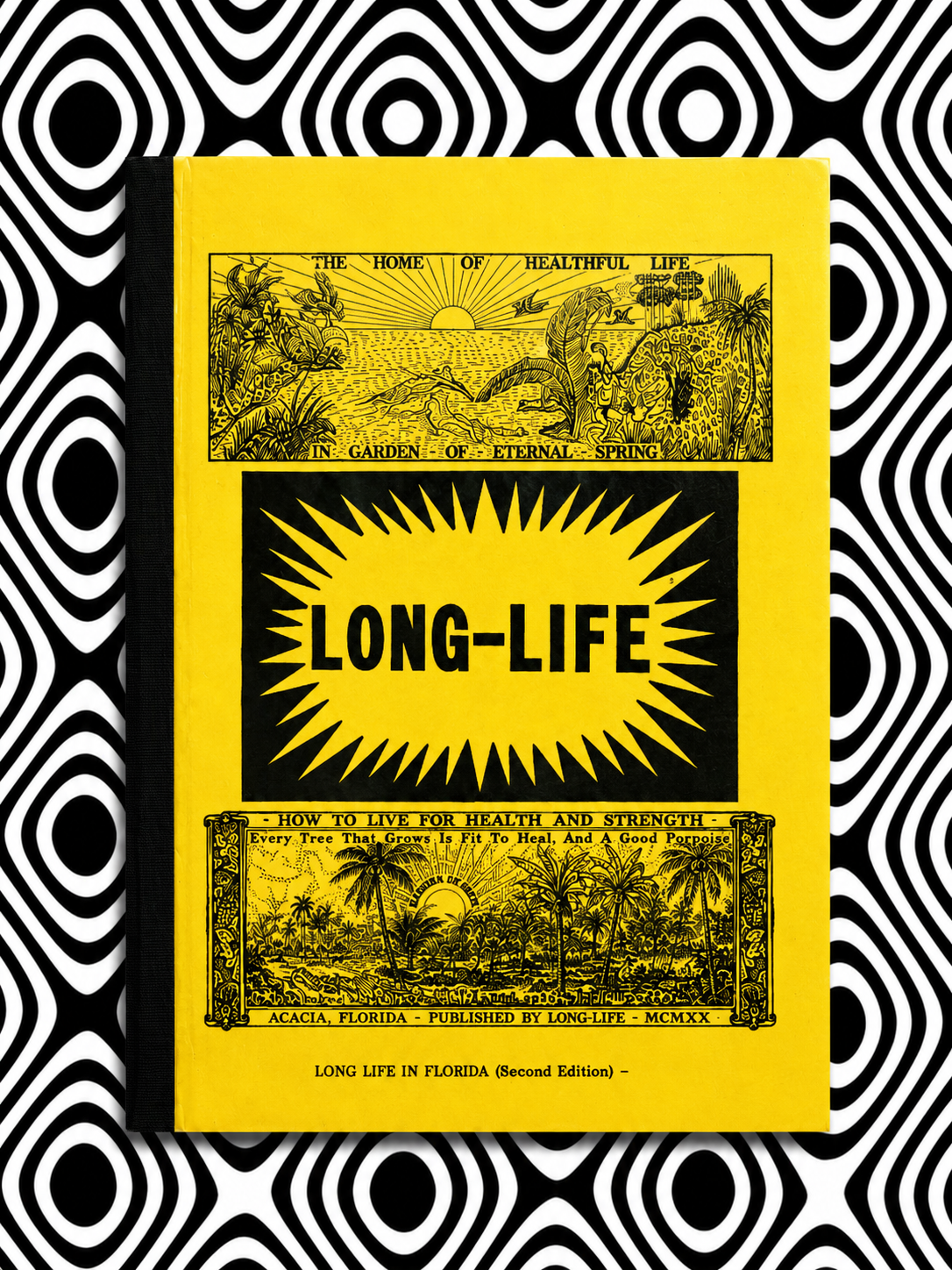Long Life — Hilton Hotema