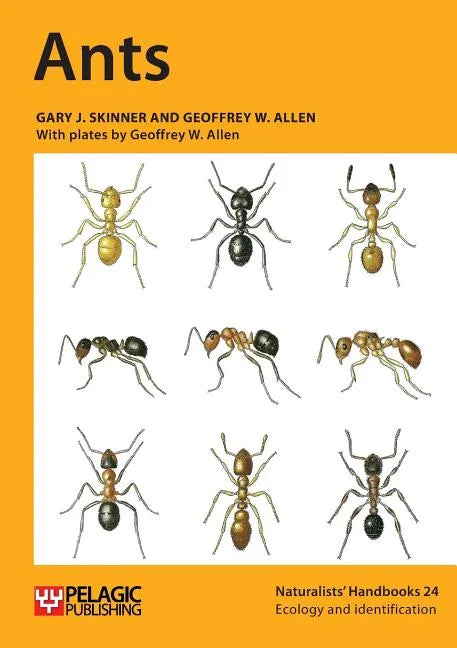 Ants - Paperback