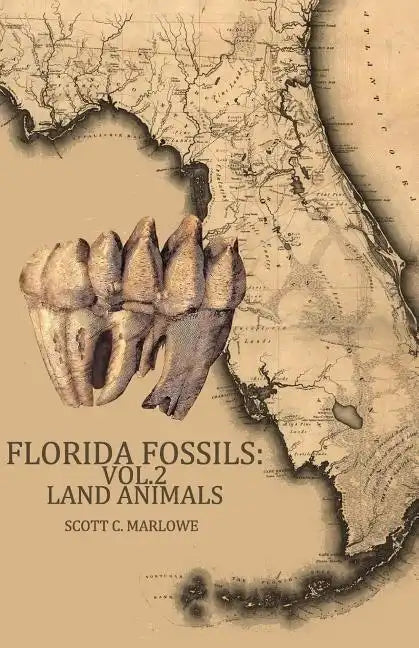 Florida Fossils: Land Animals - Paperback