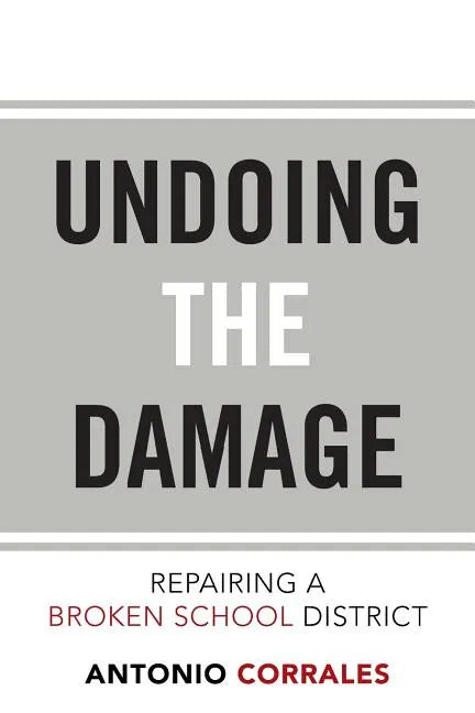 Undoing the Damage: Repairing a Broken School District - Paperback