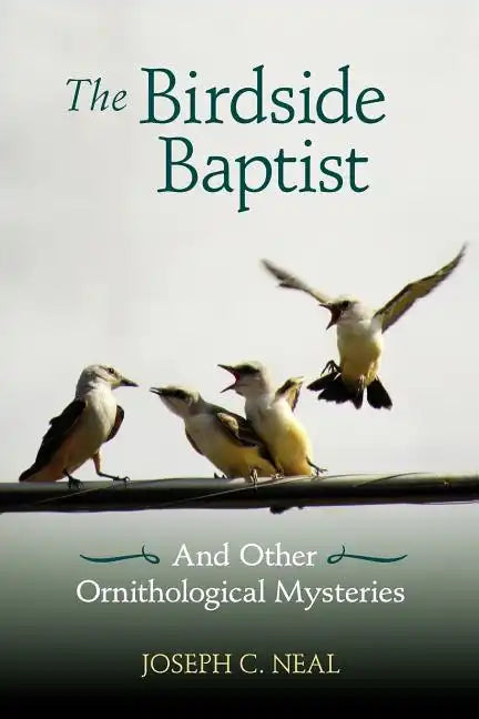 The Birdside Baptist - Paperback