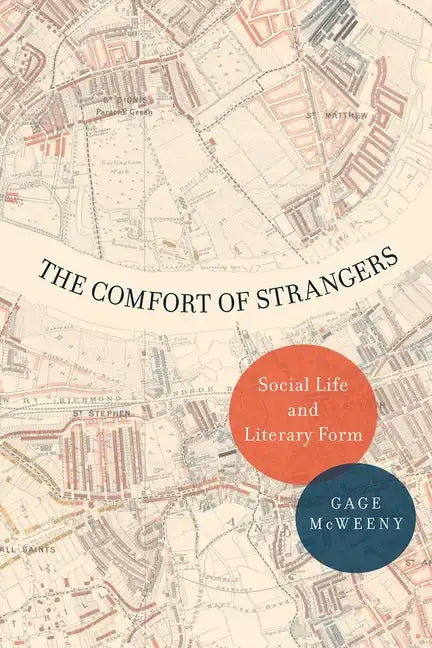 The Comfort of Strangers: Social Life and Literary Form - Paperback