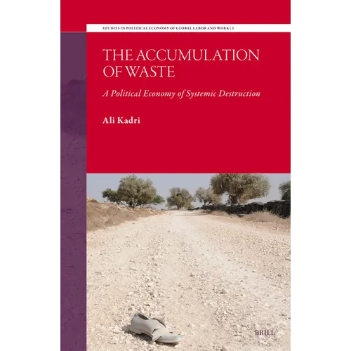 The Accumulation of Waste: A Political Economy of Systemic Destruction - Paperback