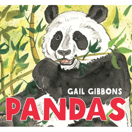Pandas: An Engaging Introduction to Pandas and Their Lives Including Giant Pandas, Bamboo Forests, Conservation Efforts, and More - Board Book