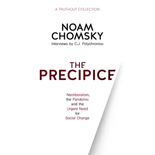 The Precipice: Neoliberalism, the Pandemic and the Urgent Need for Social Change - Hardcover