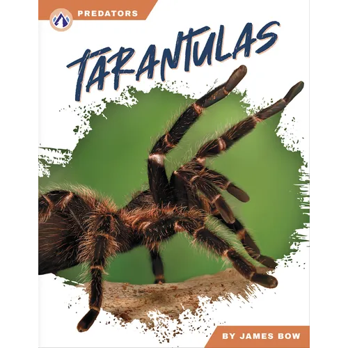 Tarantulas - Paperback