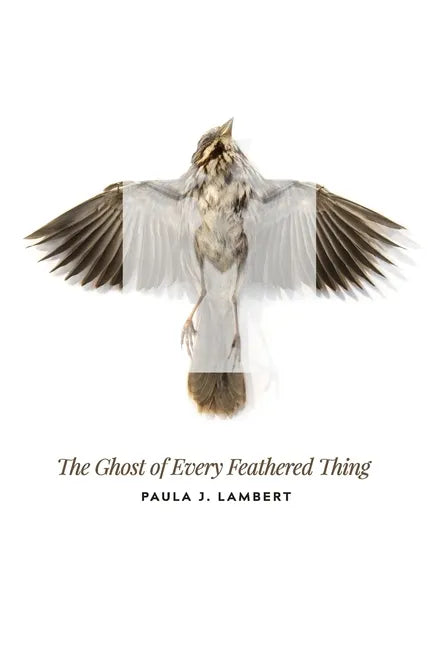 The Ghost of Every Feathered Thing - Paperback