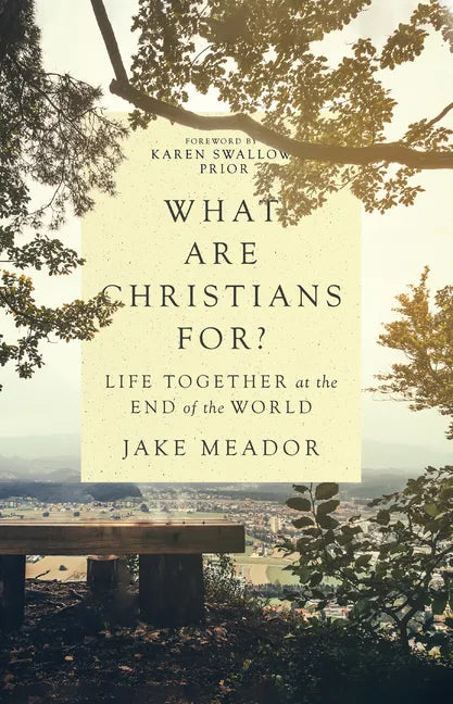 What Are Christians For?: Life Together at the End of the World - Hardcover