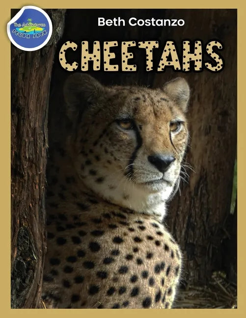 Cheetah Activity Workbook ages 4-8 - Paperback