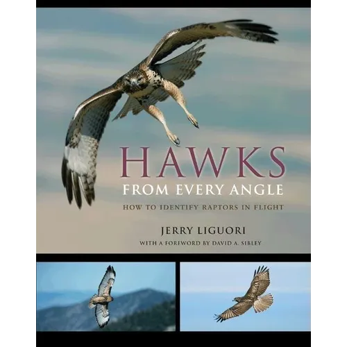 Hawks from Every Angle: How to Identify Raptors in Flight - Paperback