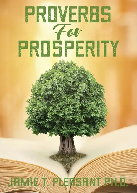 Proverbs For Prosperity - Paperback