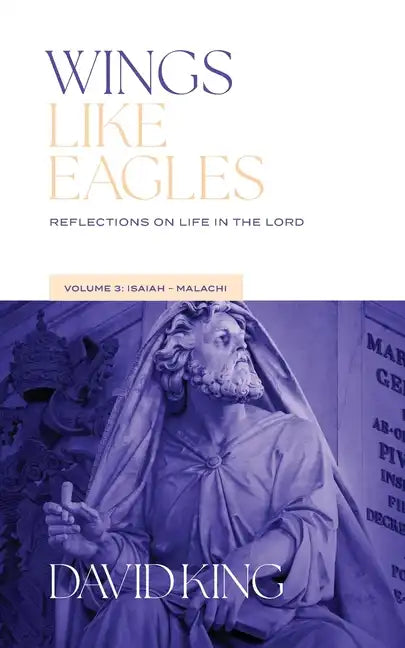 Wings Like Eagles: Reflections on Life in the Lord - Volume 3 - Isaiah-Malachi: Reflections on Life - Paperback