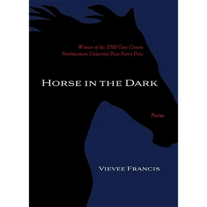 Horse in the Dark - Paperback