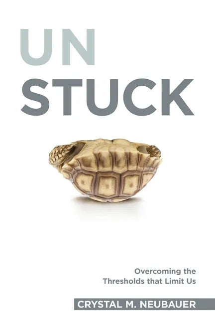 Unstuck: Overcoming the Thresholds that Limit Us - Paperback