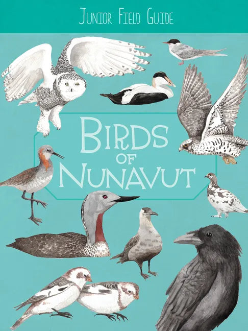 Junior Field Guide: Birds of Nunavut: English Edition - Paperback