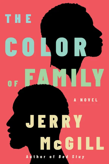 The Color of Family - Paperback