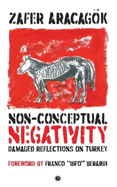 Non-Conceptual Negativity: Damaged Reflections on Turkey - Paperback