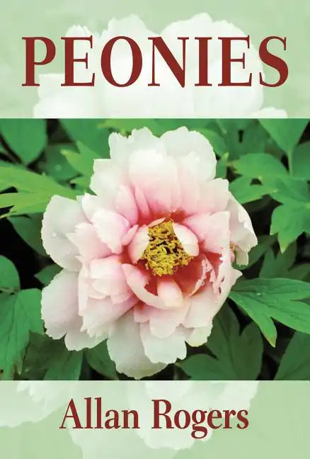 Peonies - Paperback