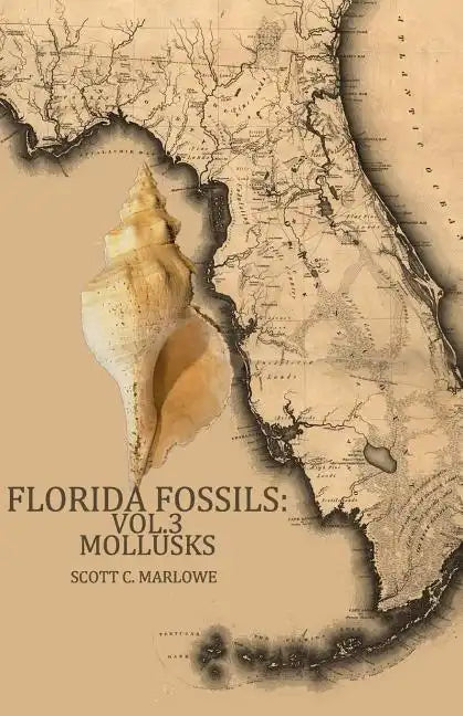 Florida Fossils: Mollusks - Paperback
