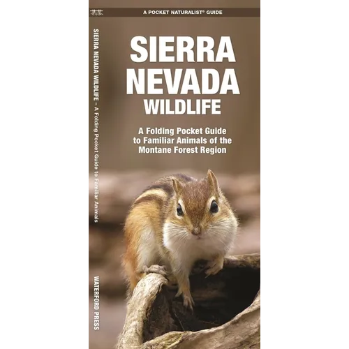Sierra Nevada Wildlife: A Folding Pocket Guide to Familiar Animals of the Montane Forest Region