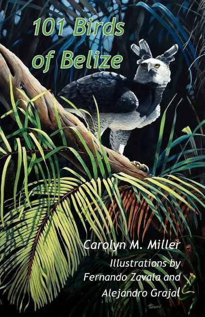 101 Birds of Belize - Paperback