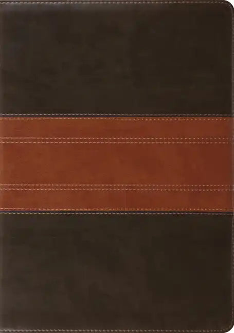 Study Bible-ESV-Trail Design - Imitation Leather