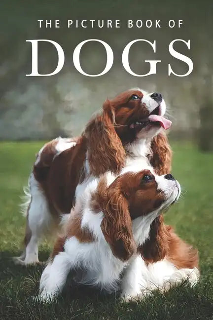 The Picture Book of Dogs: A Gift Book for Alzheimer's Patients and Seniors with Dementia - Paperback