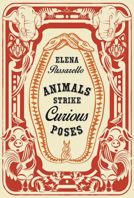 Animals Strike Curious Poses - Paperback