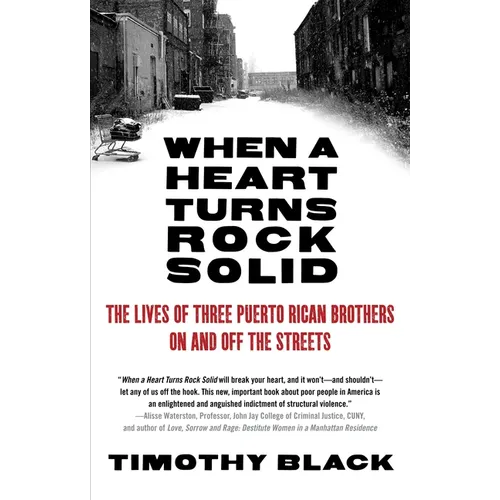 When a Heart Turns Rock Solid: The Lives of Three Puerto Rican Brothers On and Off the Streets - Paperback